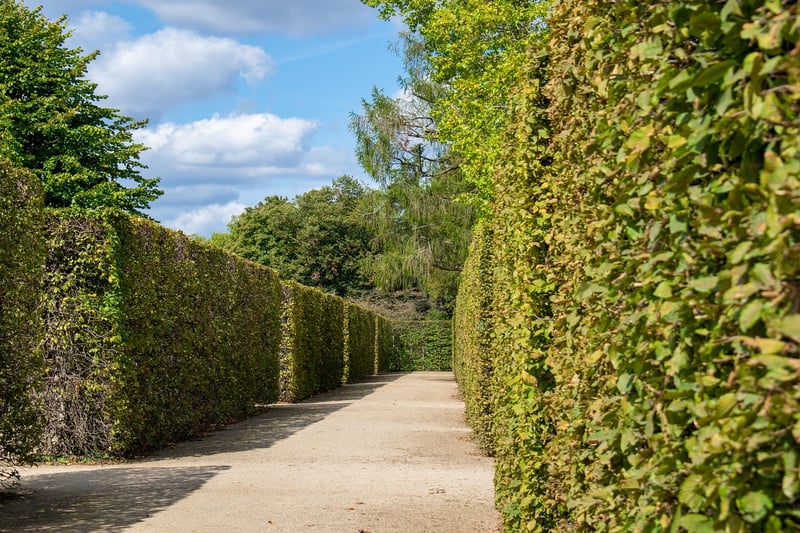 Magic Mazes